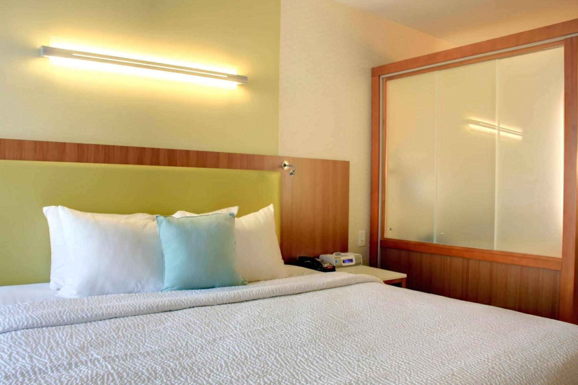Springhill By Marriott Scranton Montage Mountain 3*
